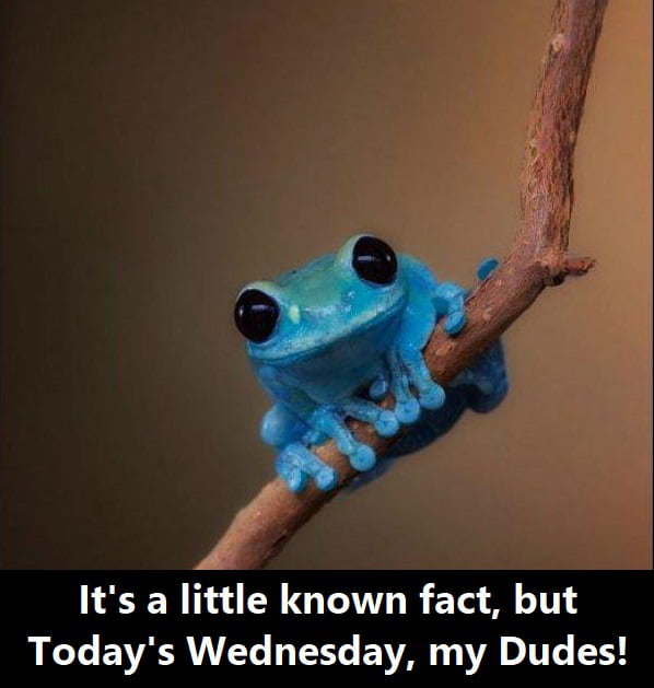 A little fact - 9GAG