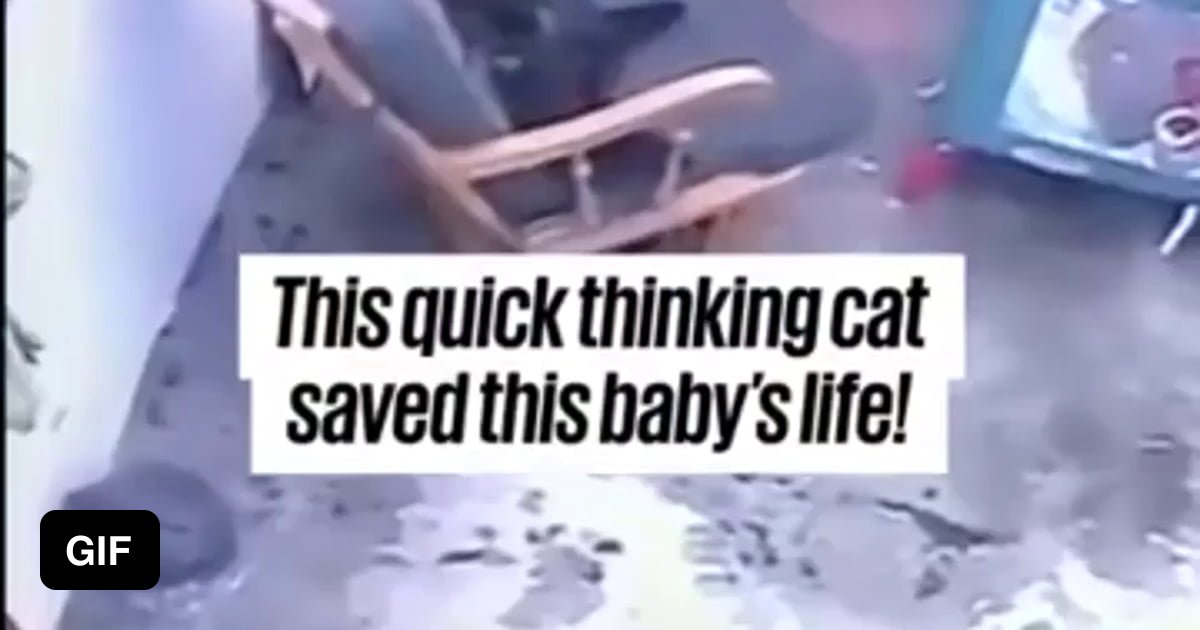 Cat blocks and prevents a baby from crawling to a fatal fall down some