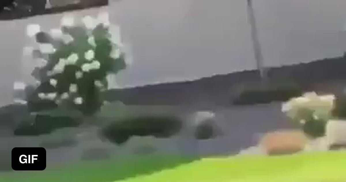 Chris Chan Arrest Video - WTF