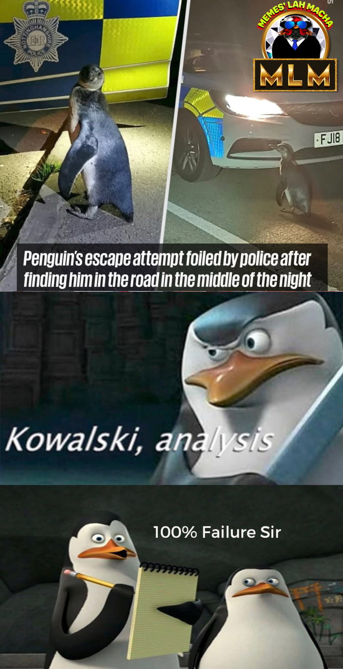 Just Smile And Wave Boys Smile And Wave 9gag