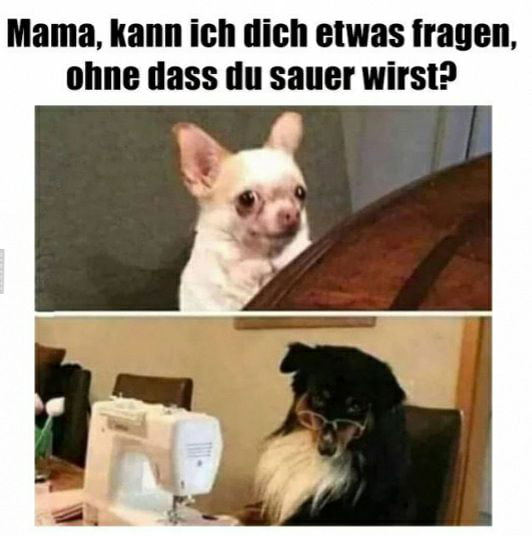 Stimmt oder? - 9GAG