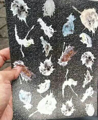 Bird Poop Sticker