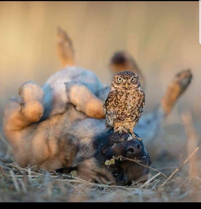 Just 2 bros doing bro things... - 9GAG