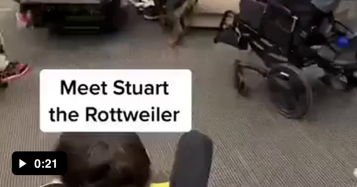 Therapy Rottweiler Visiting Disabled Patients - 9GAG