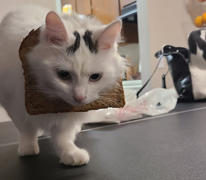 Morning bread head - 9GAG