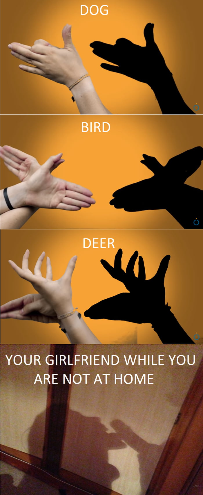 Shadow puppets 9GAG