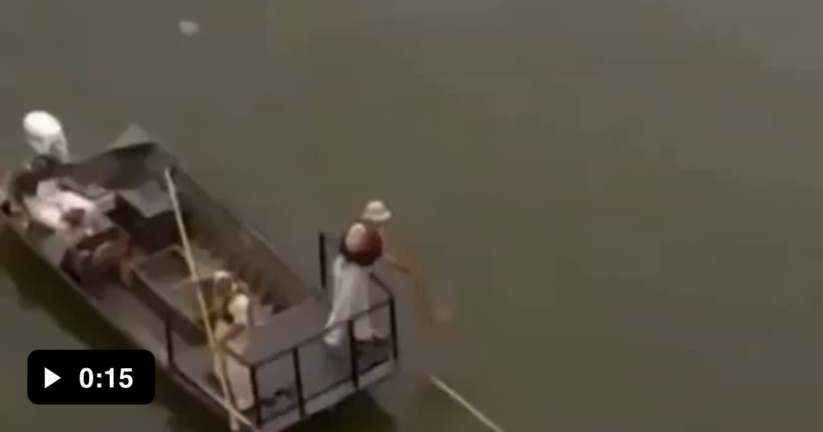 These fishermen apply electric shock in a fish pond to stun the fish 9GAG