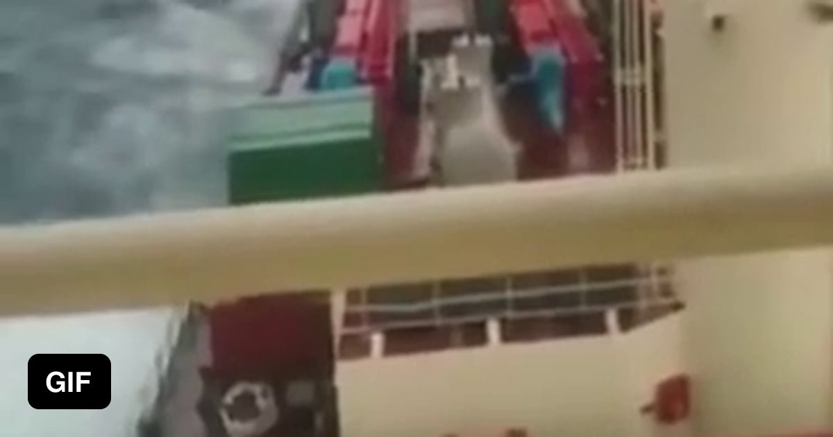 Terrifying cat of the sea attacking ship 9gag
