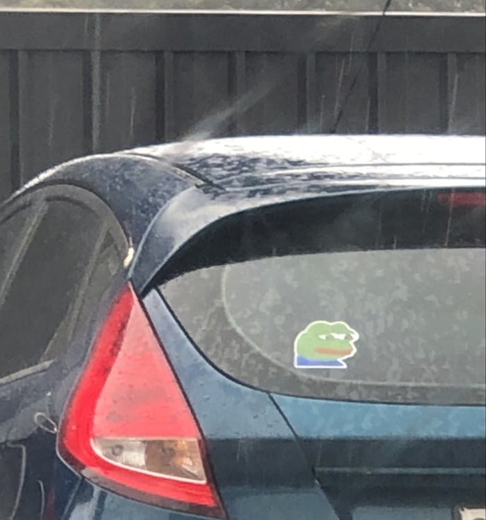 Pepe In The Wild 9gag