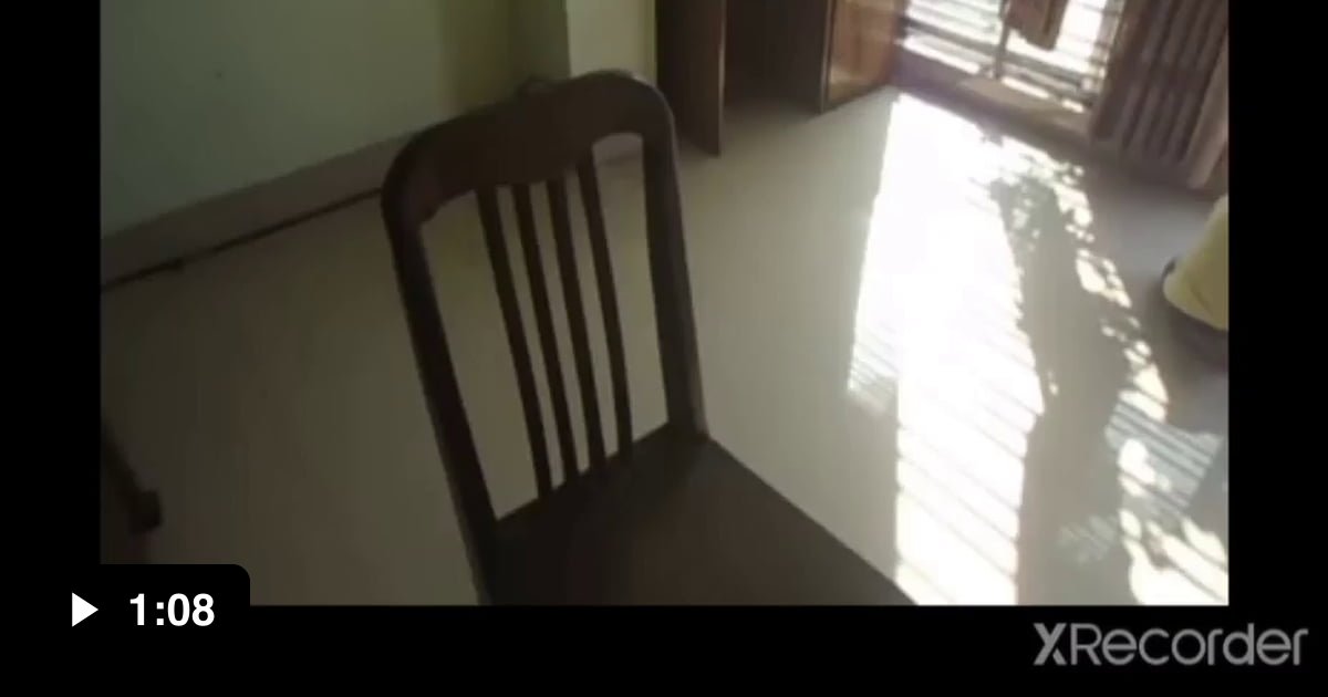 Baby bed bugs reacting to human body heat. 9GAG