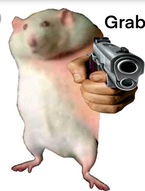 Rat Gun The Protector Of Rat Empire 9GAG