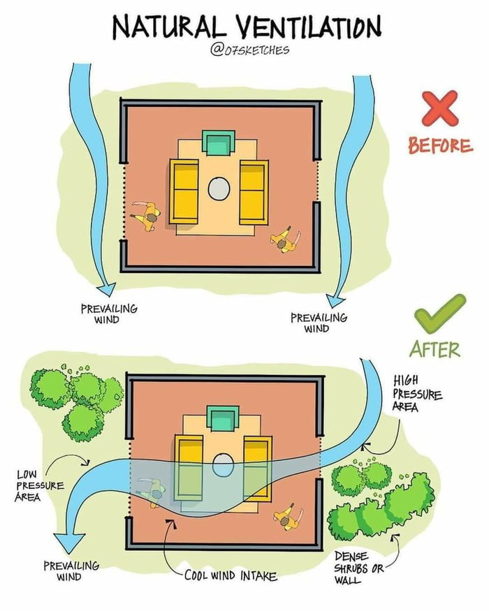 Does This Really Work Would Planting Shrubs Help To Redirect Wind Flow