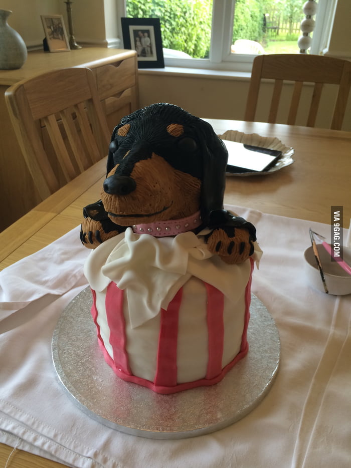 dachshund birthday cake