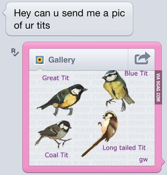 Can I See Your Tits 9gag