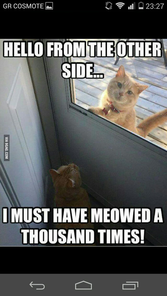 Meowed - 9GAG