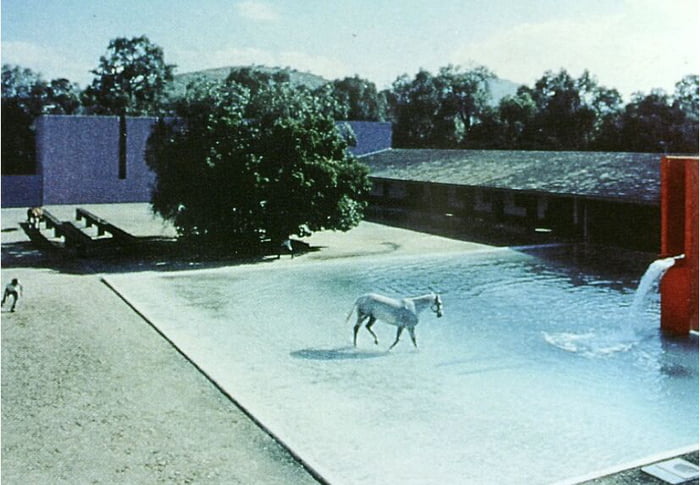 This Is San Cristobal Stable, Horse Pool And House In Mexico City ...