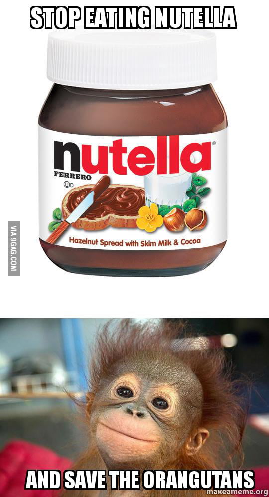 Palm oil, a ingredient required in Nutella is destroying Orangutans