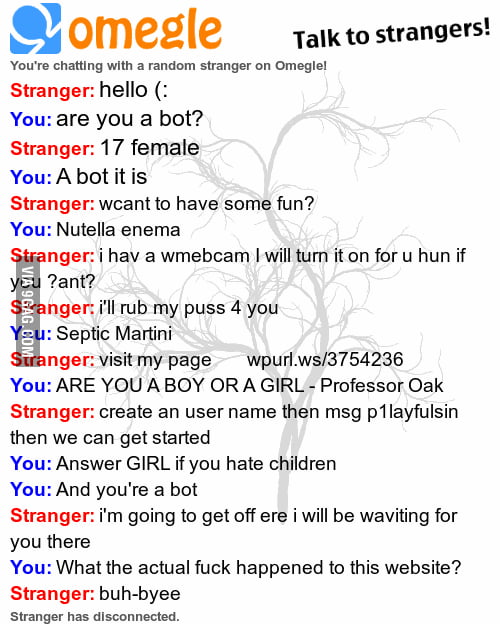 I tip my imaginary hat to whoever programmed this fine bot. 9GAG