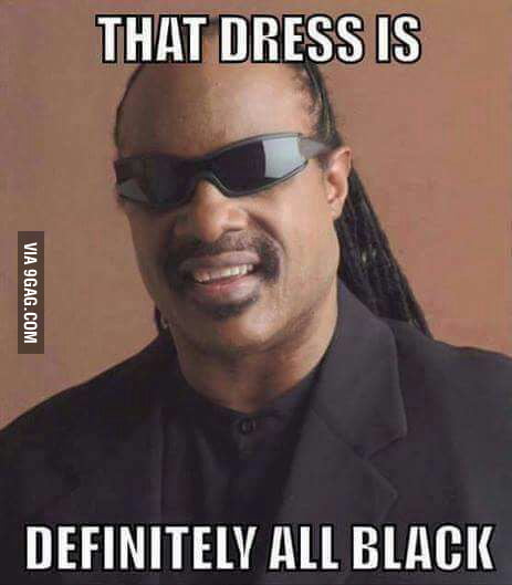 Even Stevie can see the dress is all black.. - 9GAG