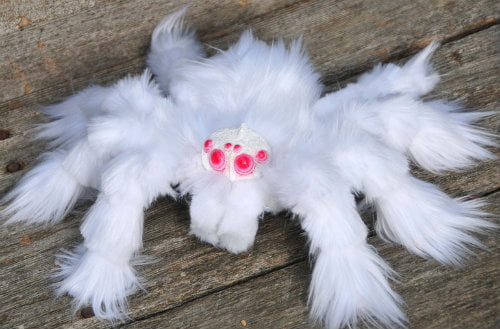 Albino Tarantula - 9GAG