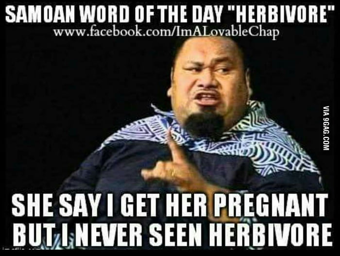 Samoan Word Of The Day For You 9gag 9GAG   AOmprZE 700b 