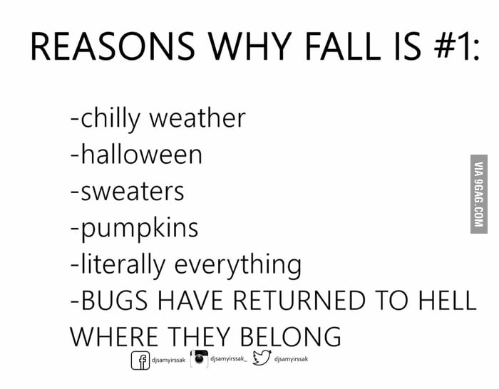 Reason to love fall - 9GAG