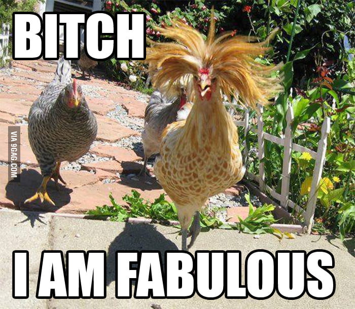 B*tch, I Am Fabulous - 9GAG