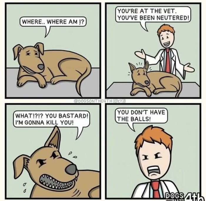 The vet is right though - 9GAG