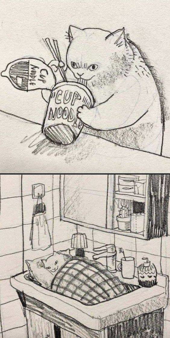 Happy cat - 9GAG