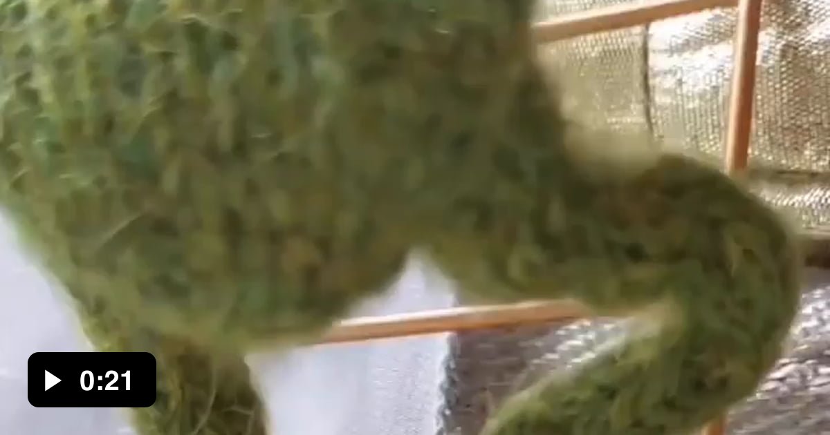 Have A Good Time Thesaurus