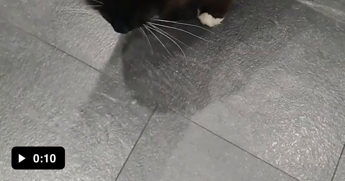 Yell and a wallop - 9GAG
