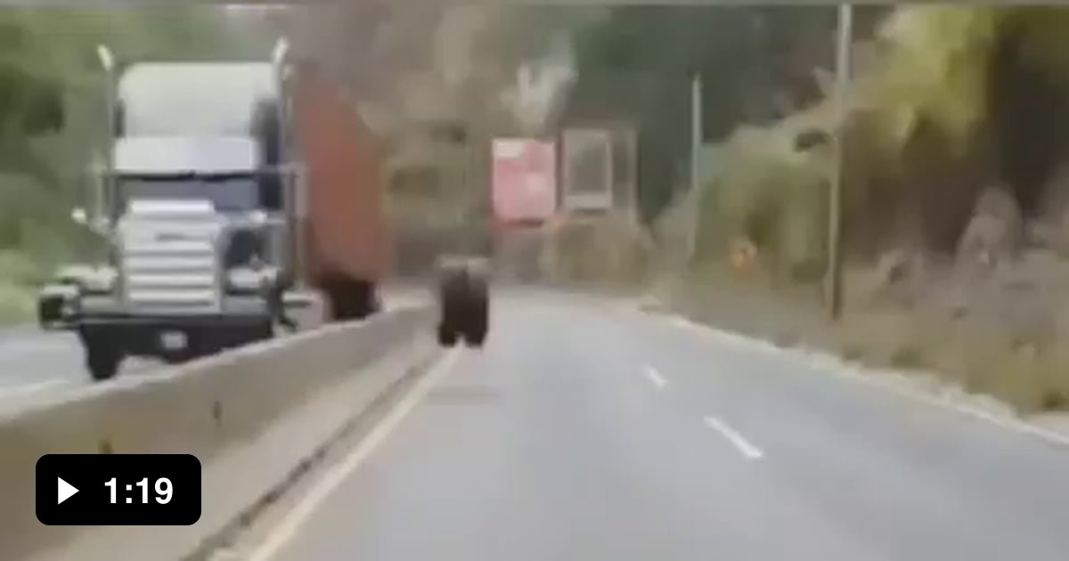 How To Play Perpetual Commotion