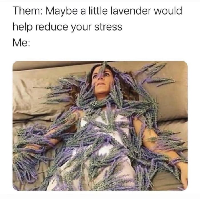 Little lavender - 9GAG