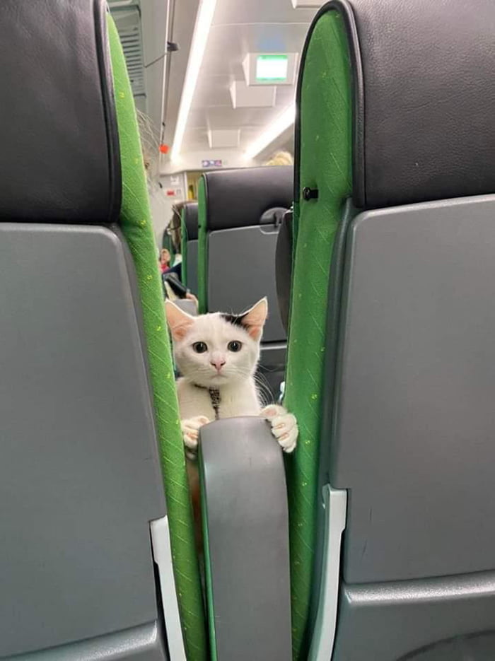 Little guy on train - 9GAG