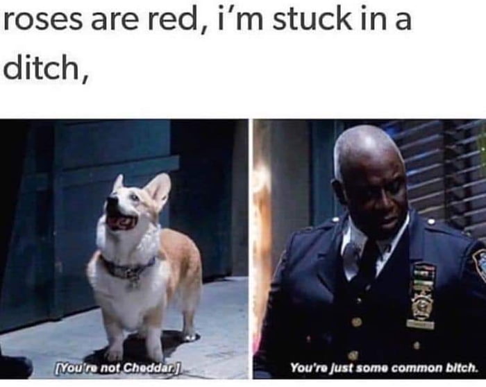 Roses are red, so... 9GAG