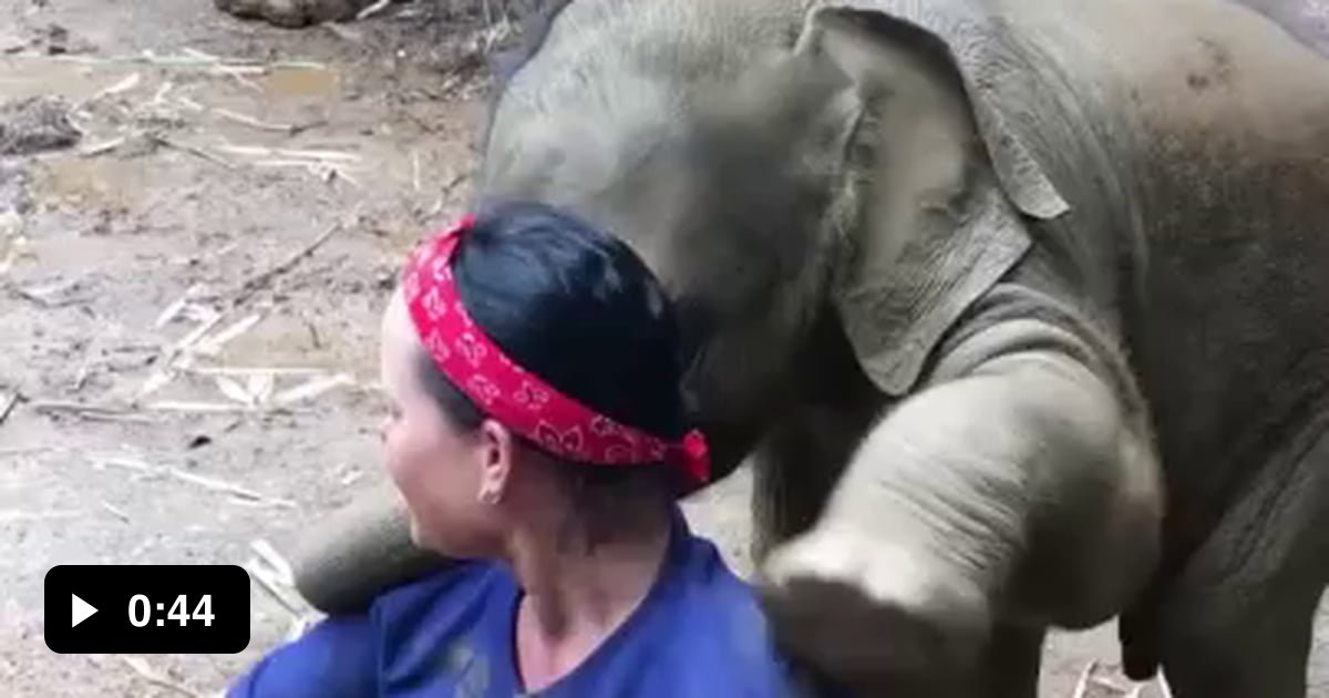 Let me love you 9gag