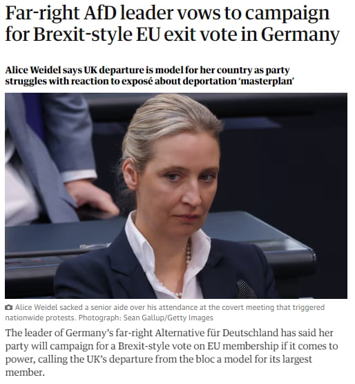 German Far-right Leader Vows For A "Dexit" Referendum - If Elected. - 9GAG