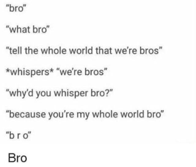 Whole world перевод. Wholesome bro memes. Bro tell Мем. You're my World. You are my whole World.