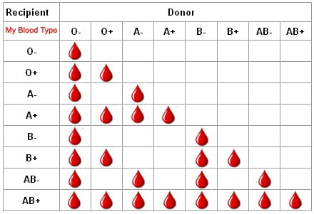 blood typ o donor