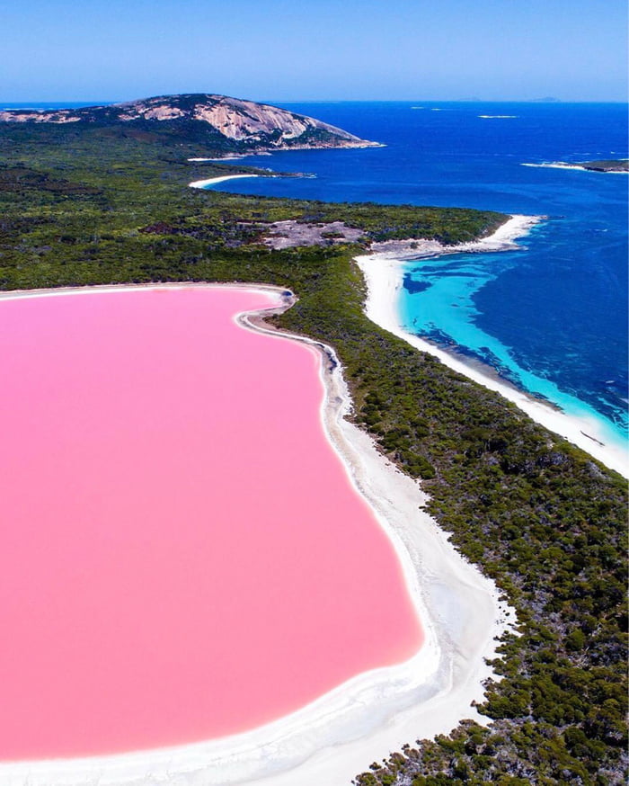 Pink Lake Western Australia 9gag Pink Lake Western Australia