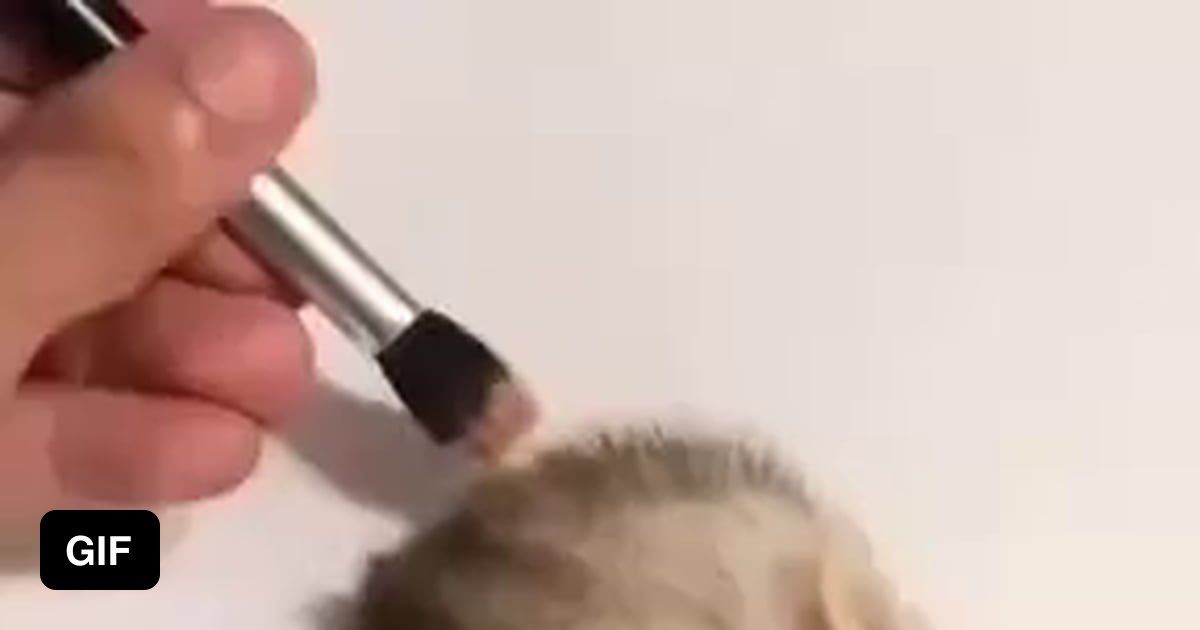 Check my painting skills - 9GAG