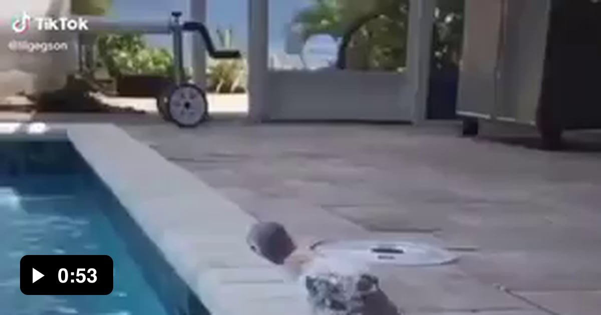 Flotation device 9GAG