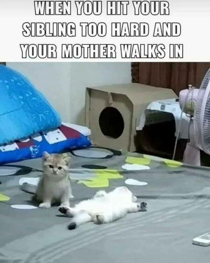 When you hit your sibling - 9GAG