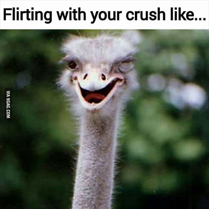 😀 Haha - 9GAG
