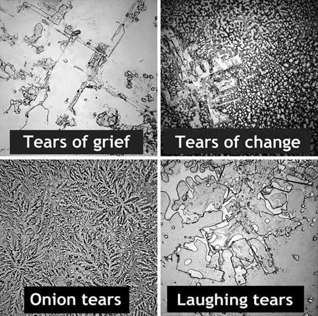 These are pictures of different dried tears, they all have different chemical makeups, which