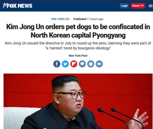 Kim Jong Un orders pet dogs to be confiscated in North Korean capital Pyongyang 9GAG