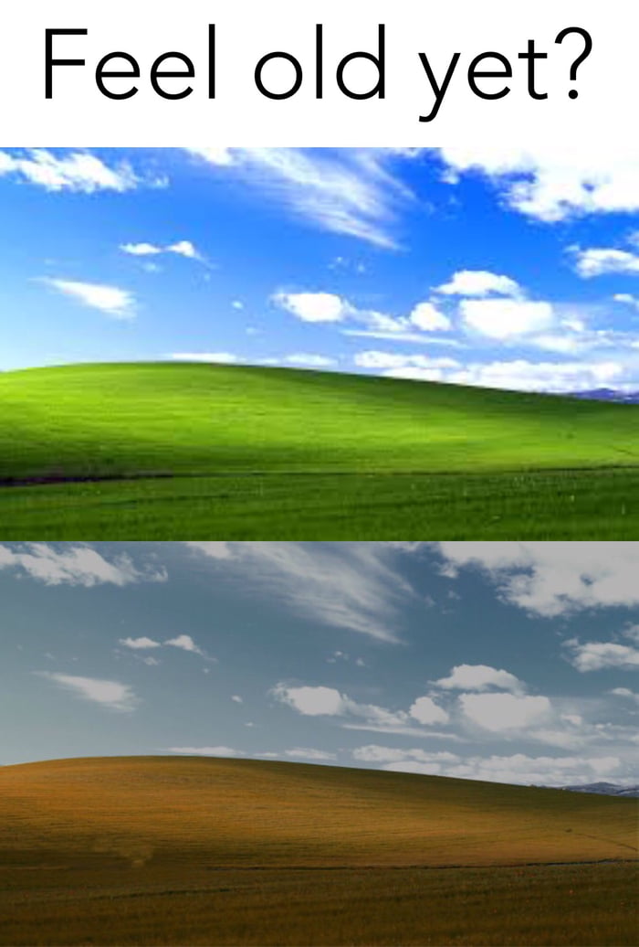 Remember the classic Windows background? This is him now! - 9GAG