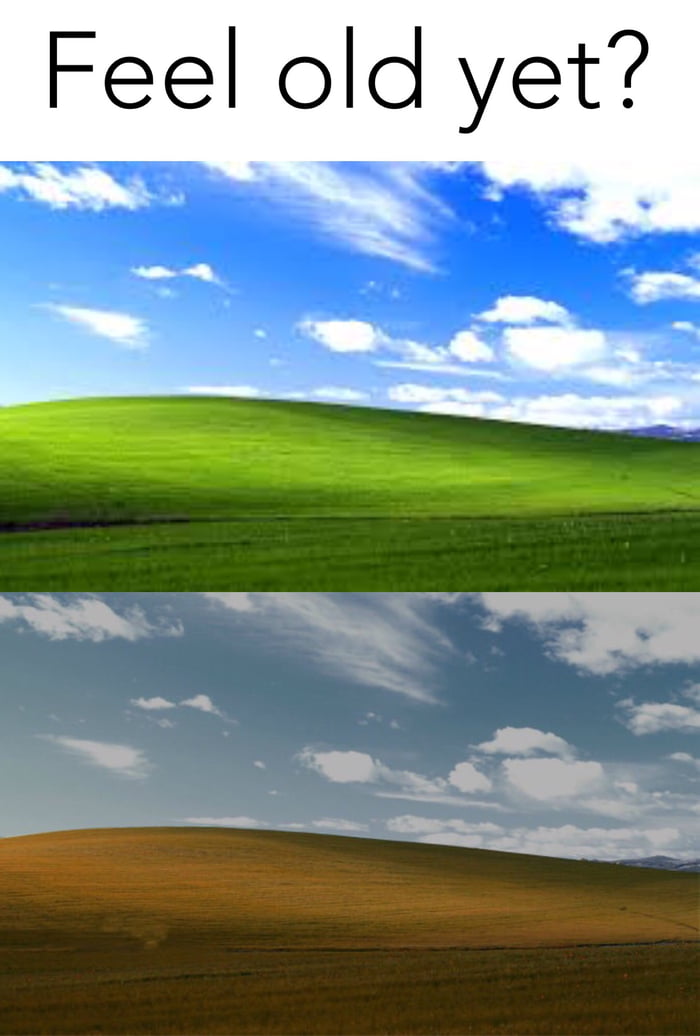 Windows Classic Wallpaper