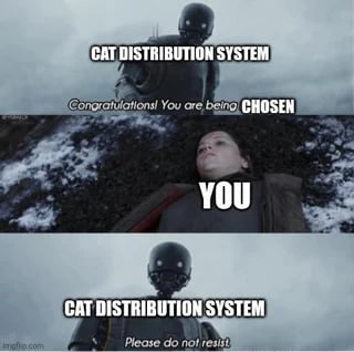 You Know The Rules And So Do I - 9GAG
