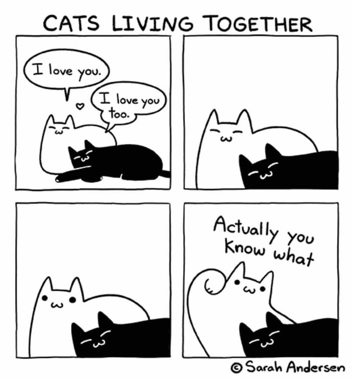 Cats actually - 9GAG